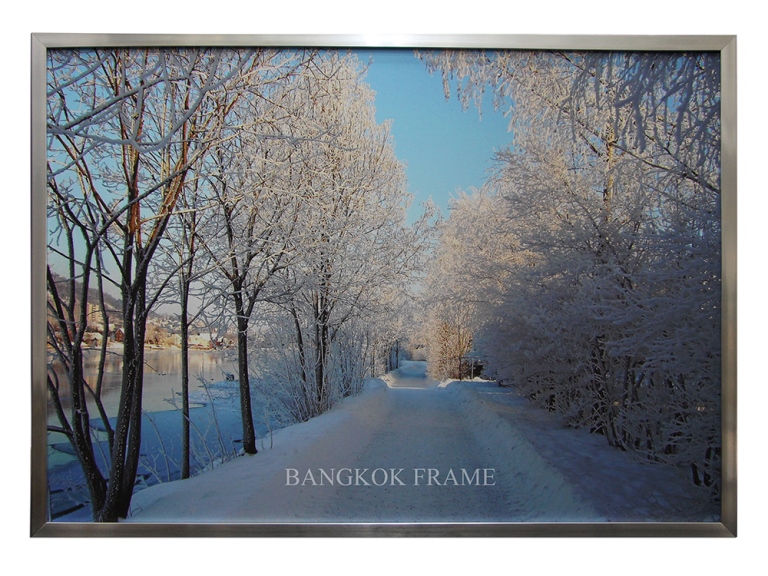 กรอบรูปขึงผ้าใบแคนวาสใส่กรอบสีเงิน